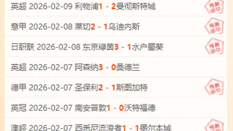 马略卡教练评阿尔瓦雷斯点球争议：遗憾际遇，期待规则改进