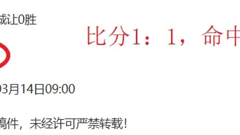 火箭对鹈鹕比赛结果分析